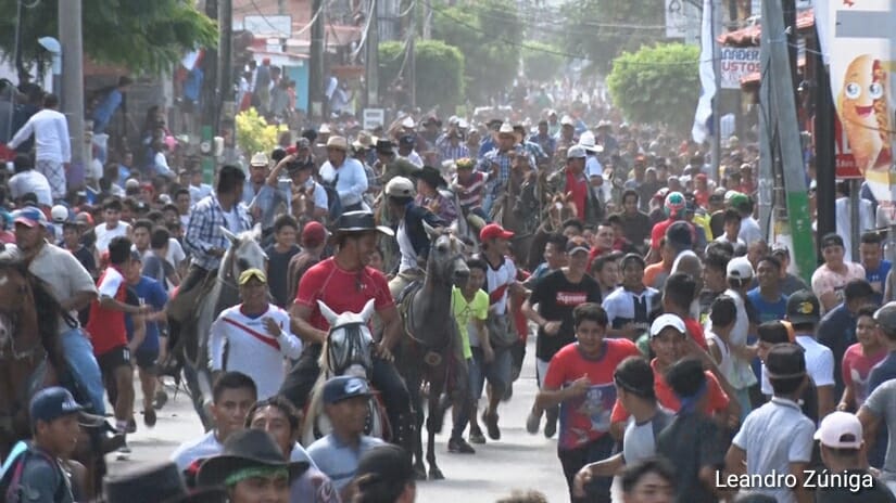 TOROS1